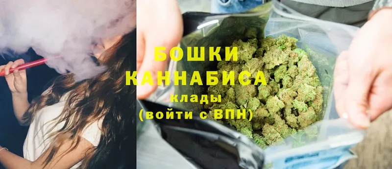 мориарти формула  Котельнич  МАРИХУАНА SATIVA & INDICA 